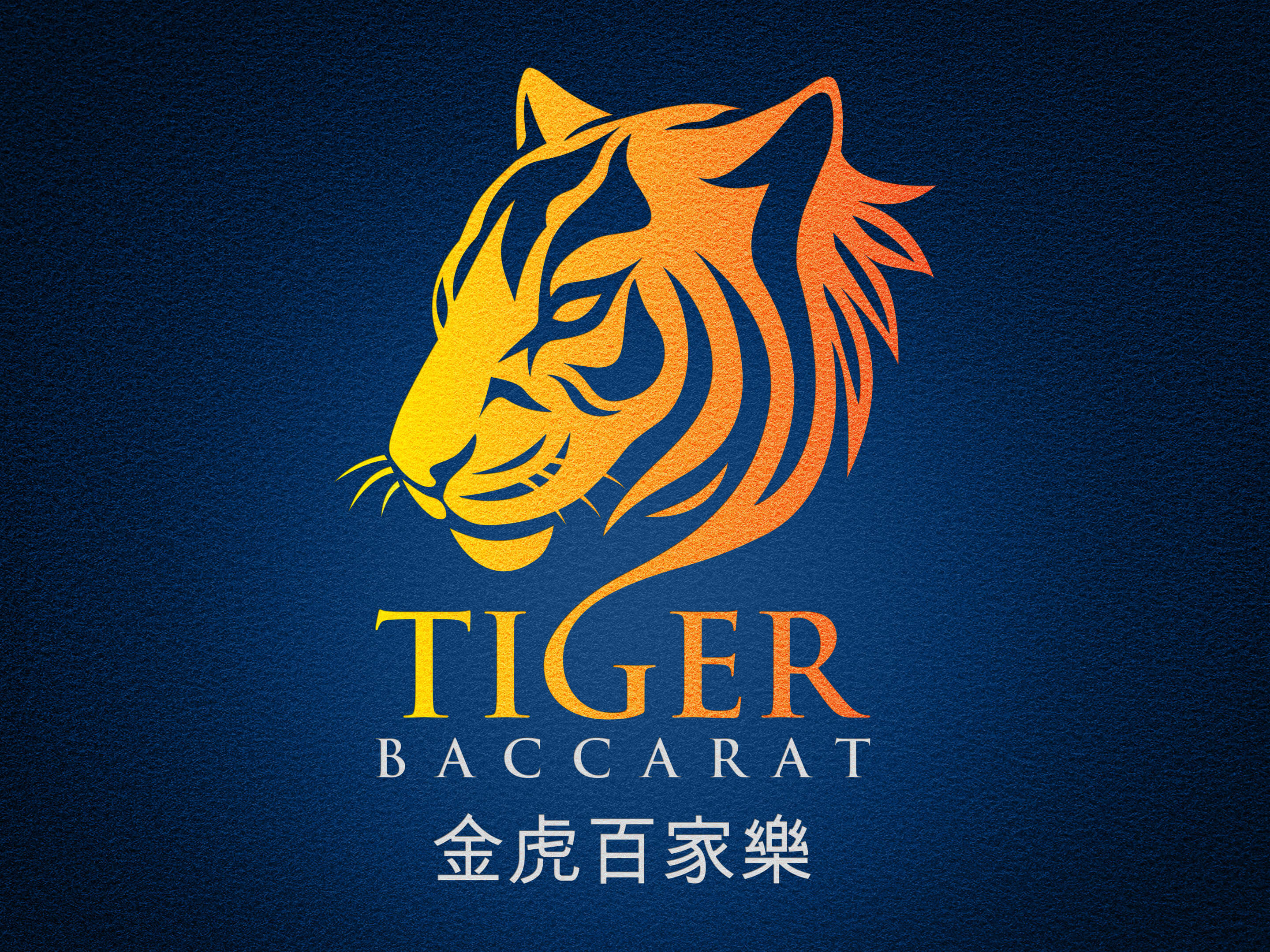 老虎百家乐