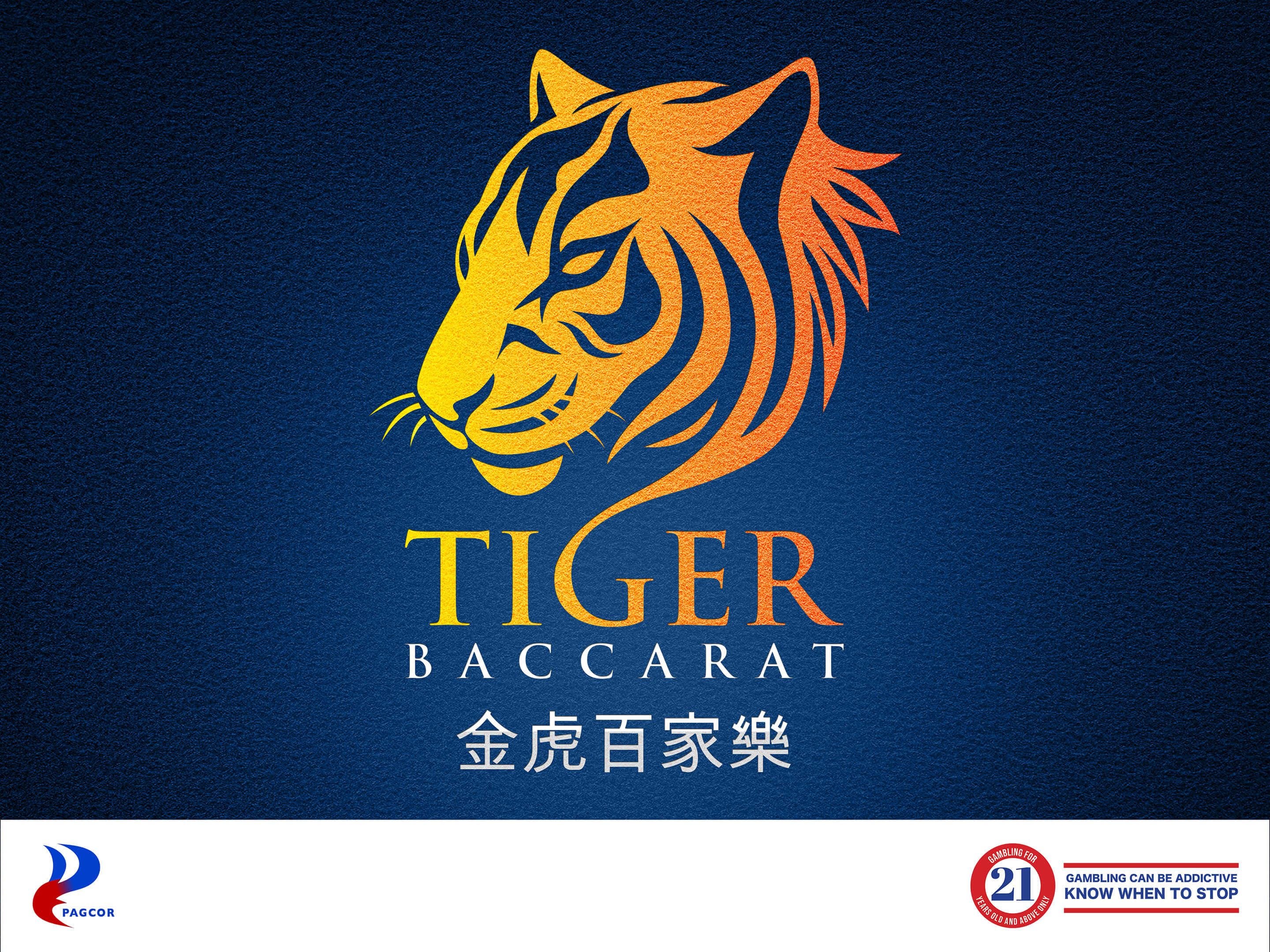 老虎百家乐